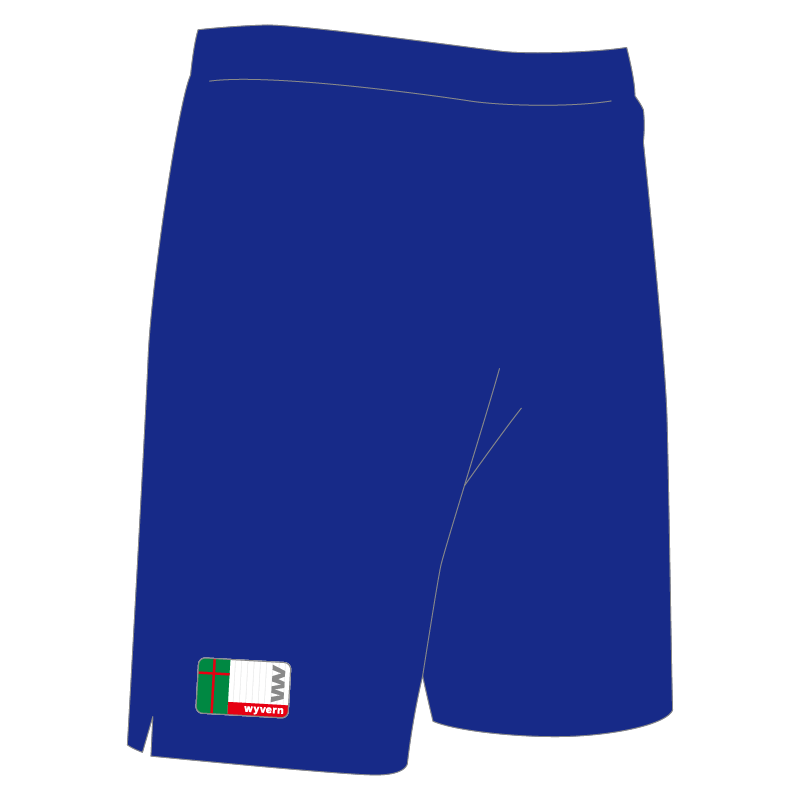 ワイヴァンサッカースクール – wyvern